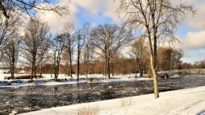 Яке свято 23 лютого 2026