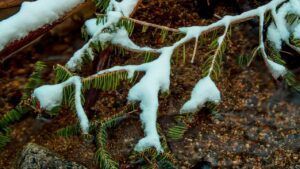 яке свято 24 лютого 2026