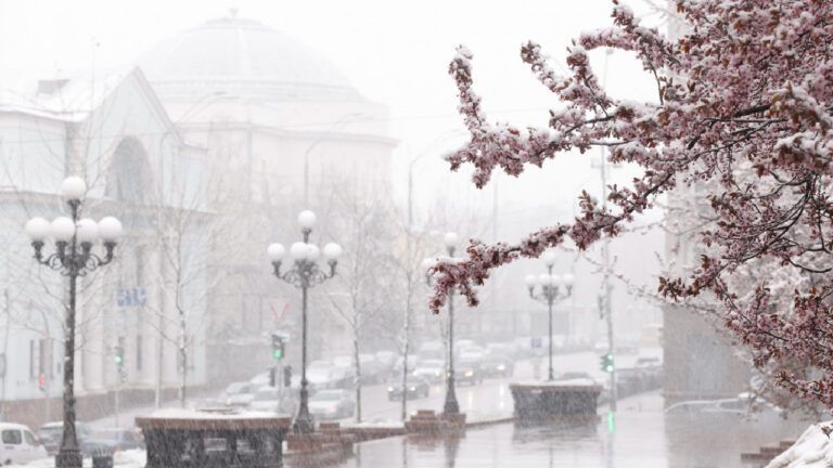Туман, ожеледиця та потепління до +13: якою буде погода в Україні на початку березня