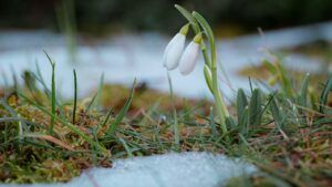 яке свято 1 березня 2026