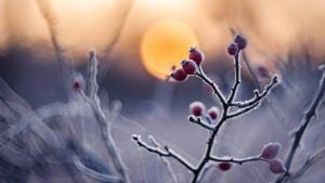 Яке свято 3 березня 2026