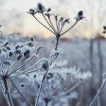 Яке свято 4 березня 2026 та яка нічна розвага під забороною