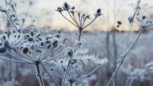 Яке свято 4 березня 2026