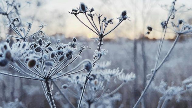 Яке свято 4 березня 2026