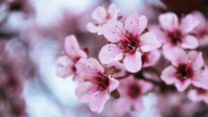 календар свят на квітень 2026