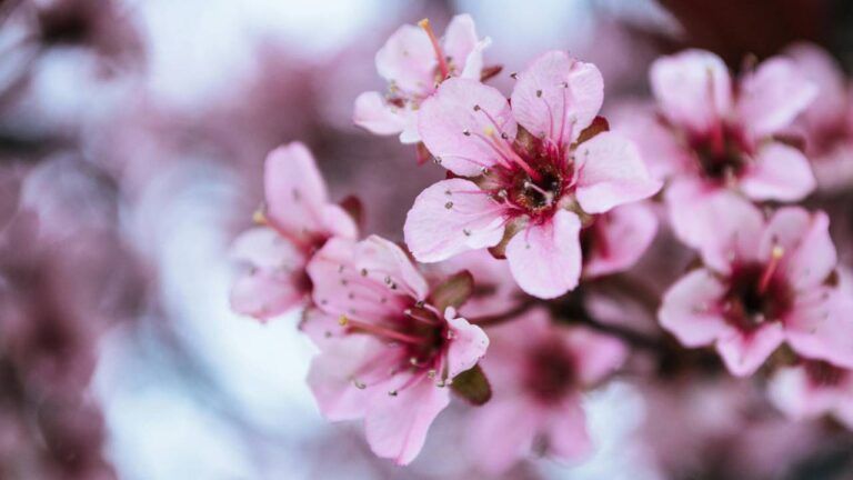 календар свят на квітень 2026