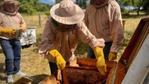 допомога від Карітас на навчання