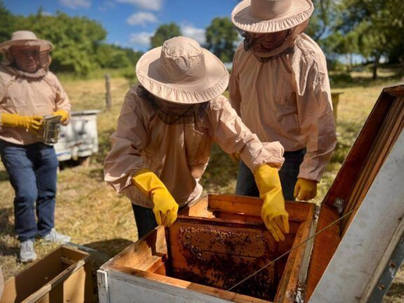 допомога від Карітас на навчання