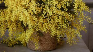 Яке свято 15 березня 2026