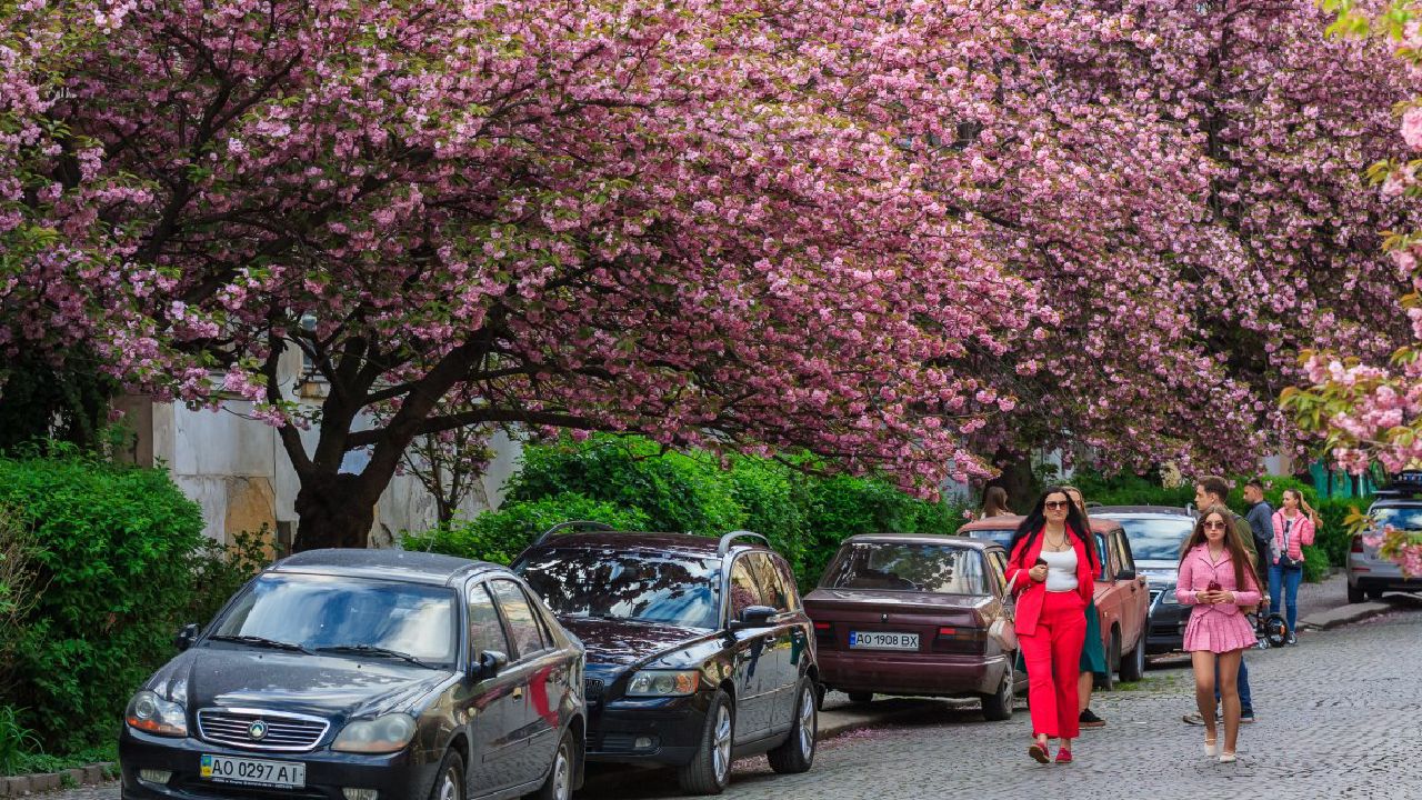 погода на наступному тижні