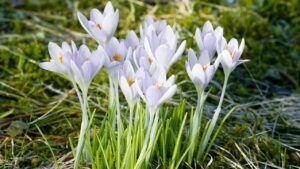 Яке свято 16 березня 2026