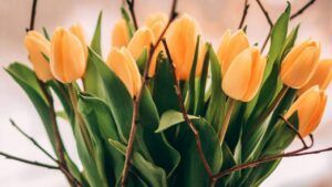 яке свято 18 березня 2026