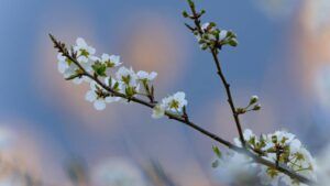 Яке свято 19 березня 2026