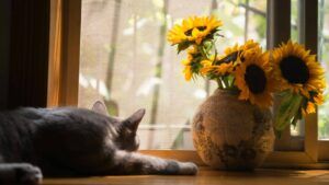 Яке свято 21 березня 2026