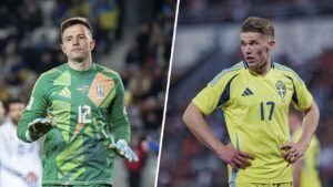 Україна Швеція