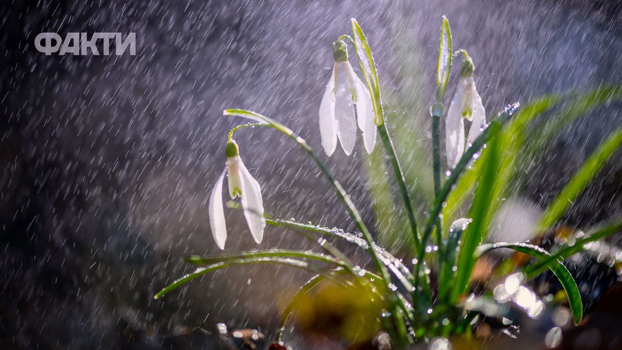 До +18° та дощ зі снігом: якою буде погода в Україні наступного тижня