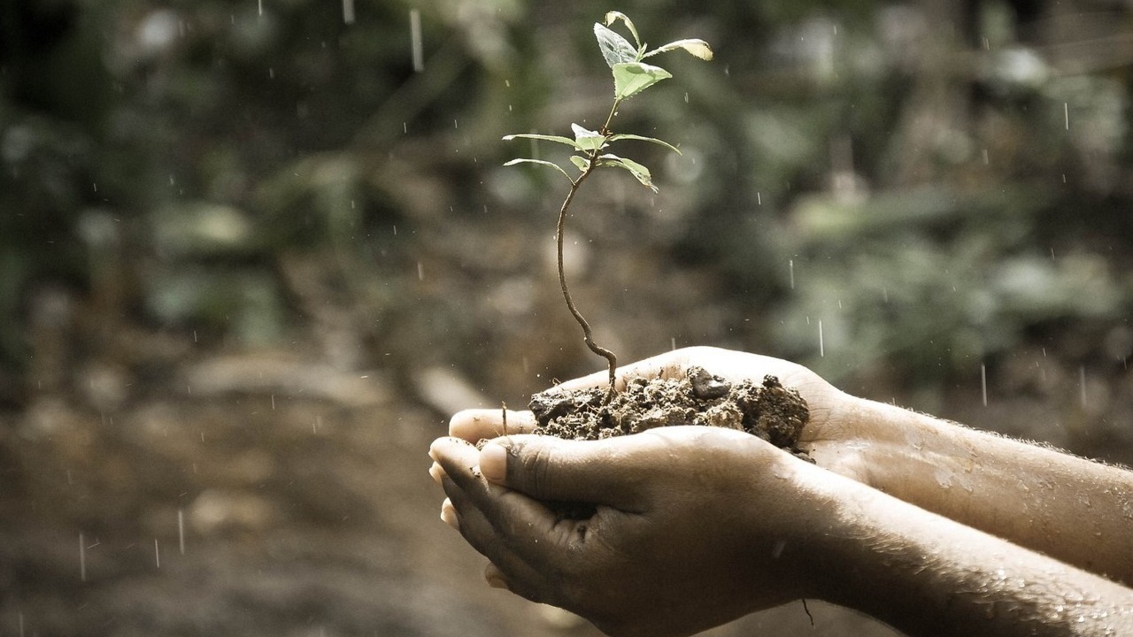Суїцидальні думки у військових