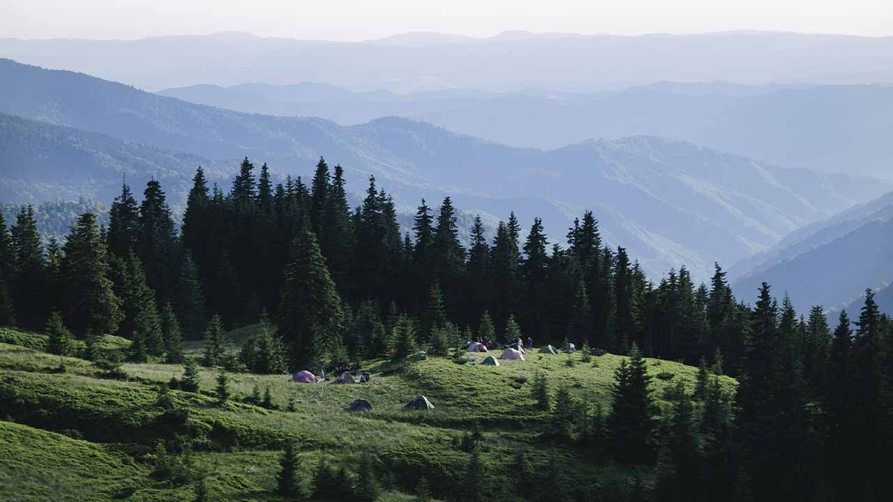 відпочинок в Карпатах